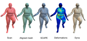 Dyna: 4D meshes of dynamic human soft tissue motion