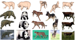 SMALR: Capturing Animal Shape and Texture from Images