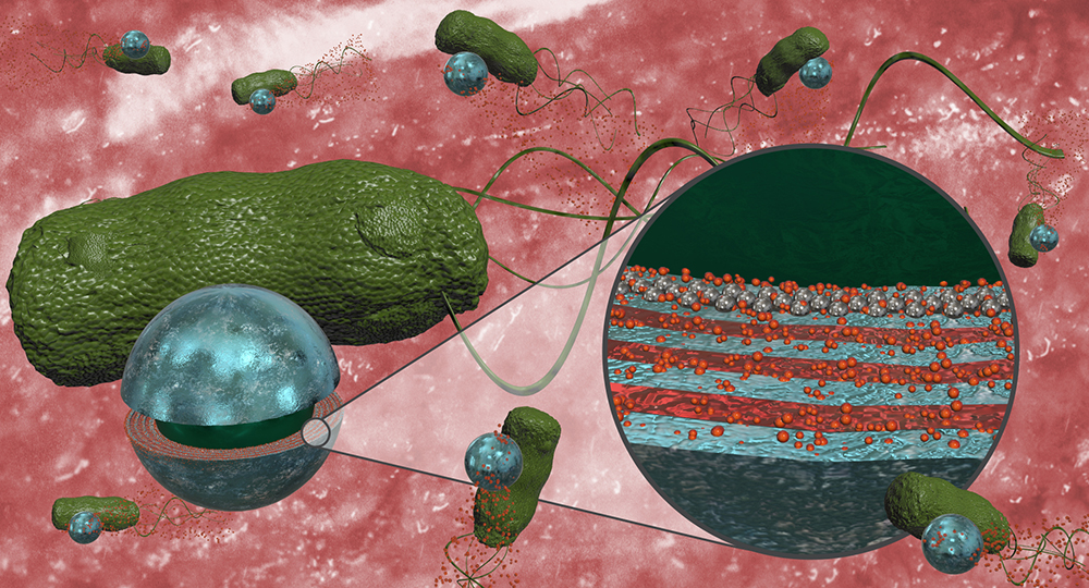 Multifunctional Bacteria-driven Microswimmers For Targeted Active Drug ...