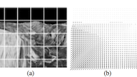 Skin and Bones: Multi-layer, locally affine, optical flow and regularization with transparency