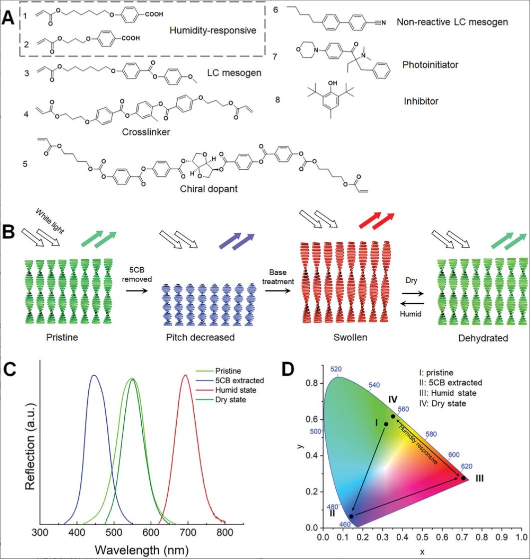 Cholesteric Liquid Crystal Polymeric Coatings for Colorful Artificial ...