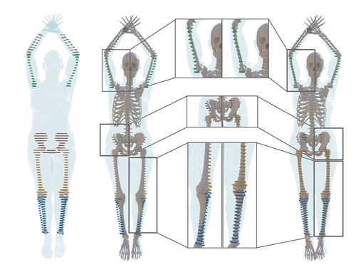 On predicting {3D} bone locations inside the human body